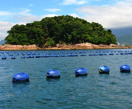 Associação de Pescadores e Maricultores da Cocanha promove ação de combate à poluição marinha nesta sexta-feira