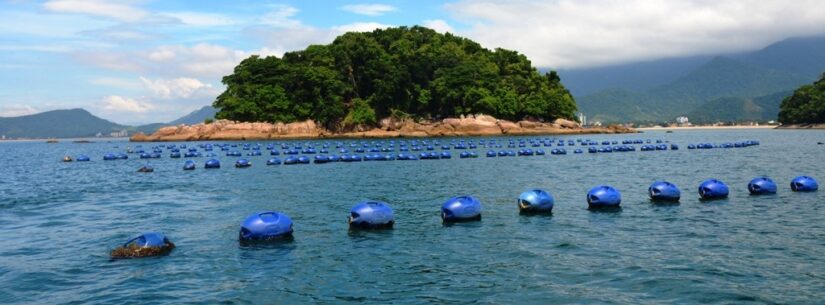 Associação de Pescadores e Maricultores da Cocanha promove ação de combate à poluição marinha nesta sexta-feira