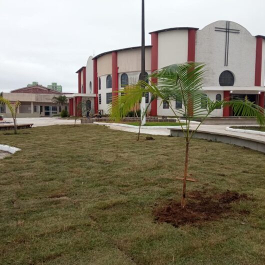 Prefeitura realiza plantio de árvores nativas na nova Praça do Divino
