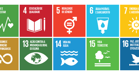 Caraguatatuba implementa ações traçadas nos Objetivos de Desenvolvimento Sustentável da ONU