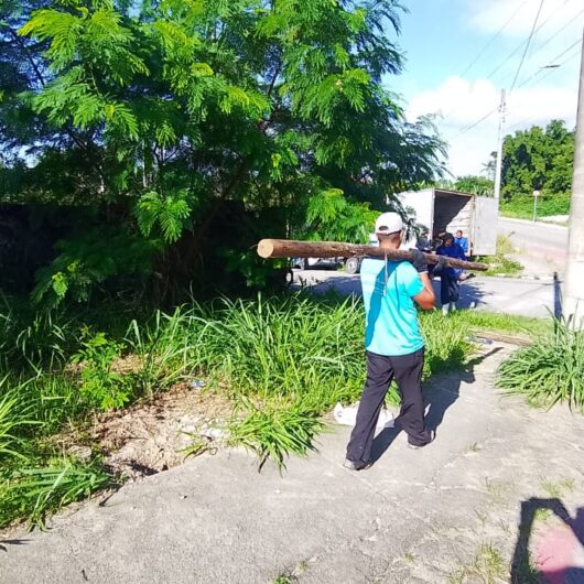 Prefeitura de Caraguatatuba e PM Ambiental impedem nova tentativa de invasão em área pública