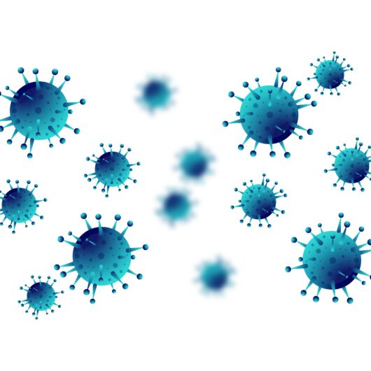 Caraguatatuba confirma terceiro óbito pelo vírus da Influenza