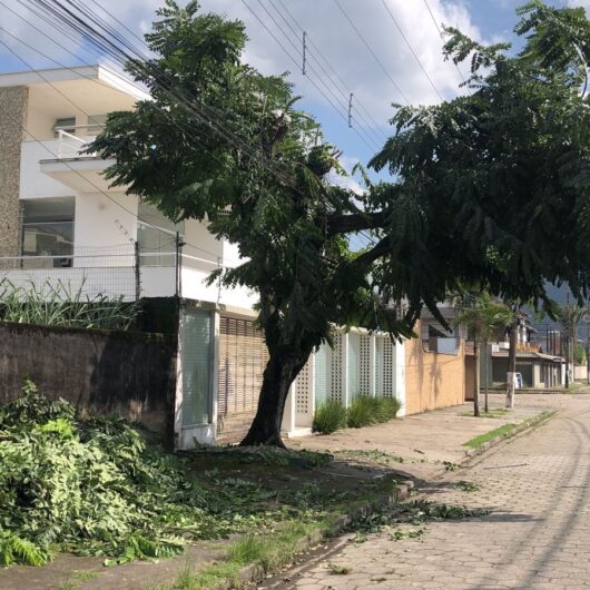 Prefeitura autua empresa EDP por descarte irregular de poda em via pública