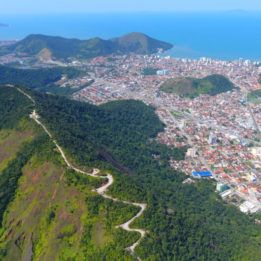 Dia Nacional da Mata Atlântica: Litoral Norte de São Paulo tem 85% do bioma preservado do estado