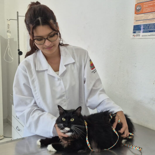 Centro de Controle de Zoonoses disponibiliza 250 vagas do Programa de Controle Populacional de cães e gatos na sexta-feira Centro de Controle de Zoonoses disponibiliza 250 vagas do Programa de Controle Populacional de cães e gatos na sexta-feira