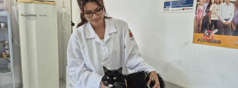Centro de Controle de Zoonoses disponibiliza 250 vagas do Programa de Controle Populacional de cães e gatos na sexta-feira Centro de Controle de Zoonoses disponibiliza 250 vagas do Programa de Controle Populacional de cães e gatos na sexta-feira