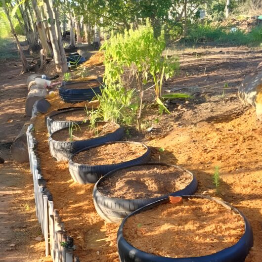 Projeto “Sementes do Bem” combate ocupações irregulares em áreas públicas de Caraguatatuba Projeto “Sementes do Bem” combate ocupações irregulares em áreas públicas de Caraguatatuba