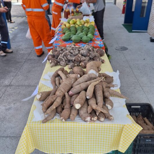 Feira Agroecológica reúne produtores locais para comercialização de produtos sustentáveis em Caraguatatuba Feira Agroecológica reúne produtores locais para comercialização de produtos sustentáveis em Caraguatatuba