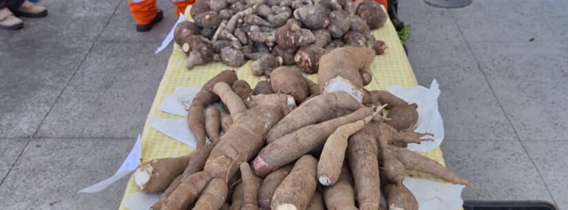 Feira Agroecológica reúne produtores locais para comercialização de produtos sustentáveis em Caraguatatuba