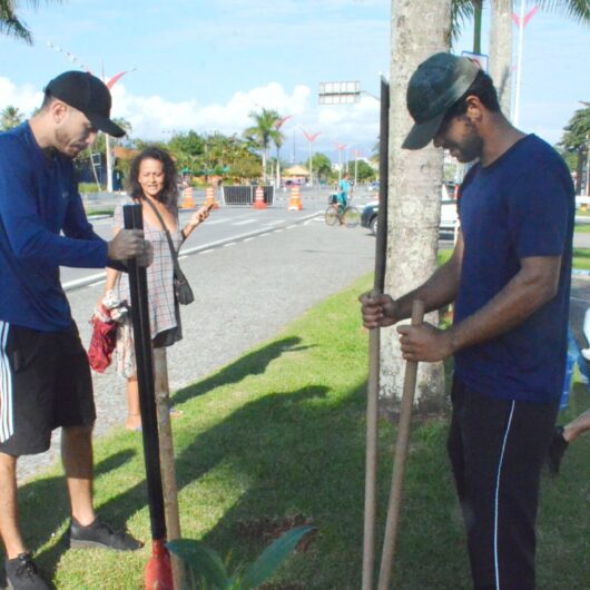 Caraguatatuba promove plantio de árvores nativas em conjunto com Projeto Araticum durante Rua da Família Caraguatatuba promove plantio de árvores nativas em conjunto com Projeto Araticum durante Rua da Família