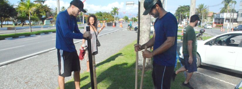 Caraguatatuba promove plantio de árvores nativas em conjunto com Projeto Araticum durante Rua da Família Caraguatatuba promove plantio de árvores nativas em conjunto com Projeto Araticum durante Rua da Família