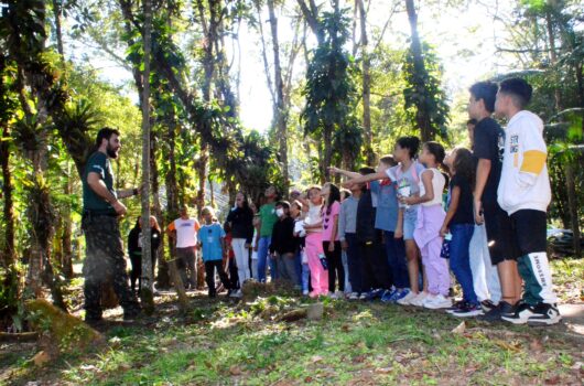 Projeto piloto “Colônia de Férias” leva crianças do residencial Getuba ao Parque Estadual Serra do Mar em Caraguatatuba Projeto piloto “Colônia de Férias” leva crianças do residencial Getuba ao Parque Estadual Serra do Mar em Caraguatatuba