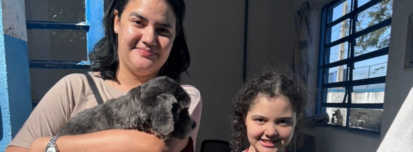 Três cães são adotados na feira de adoção do Centro de Controle de Zoonoses em Caraguatatuba