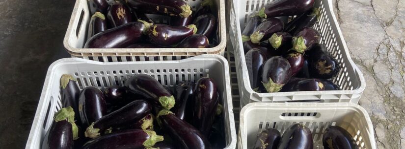 Banco de Alimentos de Caraguatatuba dobra doações e distribui mais de 1,6 tonelada a entidades sociais Banco de Alimentos de Caraguatatuba dobra doações e distribui mais de 1,6 tonelada a entidades sociais