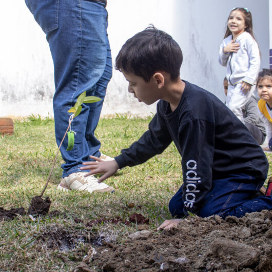 Alunos plantam árvores em escola municipal durante ação do Projeto Arborizar