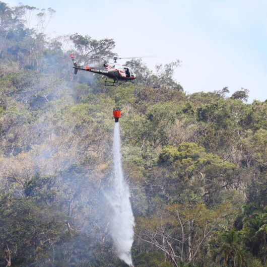 Operação SP Sem Fogo reforça prevenção e combate a incêndios em Caraguatatuba Operação SP Sem Fogo reforça prevenção e combate a incêndios em Caraguatatuba