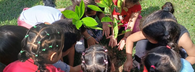 Plantio de mudas marca celebração do Dia da Árvore em escola de Caraguatatuba