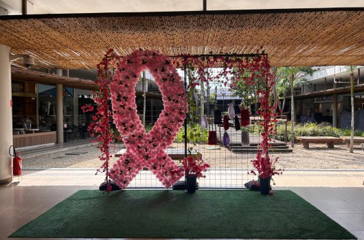 Fundo Social de Caraguatatuba e Serramar Shopping promovem campanha Outubro Rosa com arrecadação de lenços Fundo Social de Caraguatatuba e Serramar Shopping promovem campanha Outubro Rosa com arrecadação de lenços