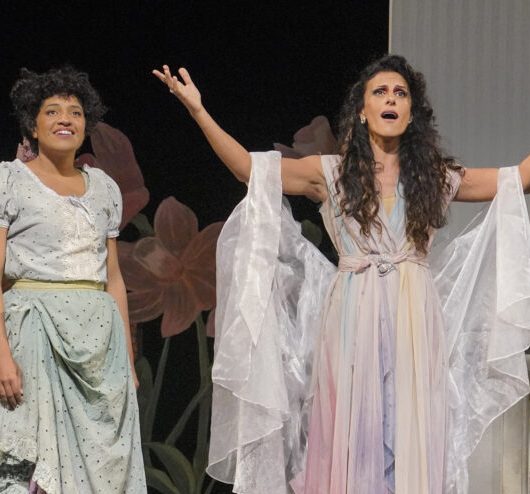 Ópera Itinerante ‘Cinderela’ tem entrada franca em Caraguatatuba na próxima semana