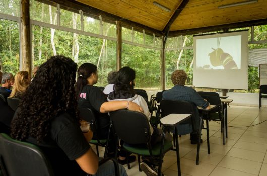 Mostra Curta Caraguá exibe filmes de estudantes no Parque Natural do Juqueriquerê Mostra Curta Caraguá exibe filmes de estudantes no Parque Natural do Juqueriquerê