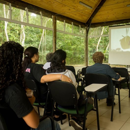 Mostra Curta Caraguá exibe filmes de estudantes no Parque Natural do Juqueriquerê Mostra Curta Caraguá exibe filmes de estudantes no Parque Natural do Juqueriquerê