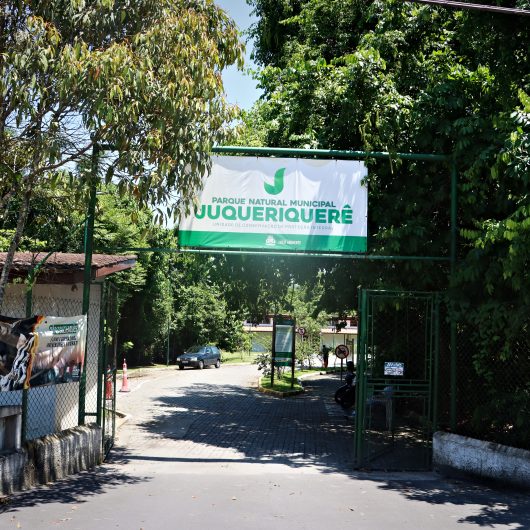 Parque Natural Municipal do Juqueriquerê promove programação especial com rodas de conversa e exposições