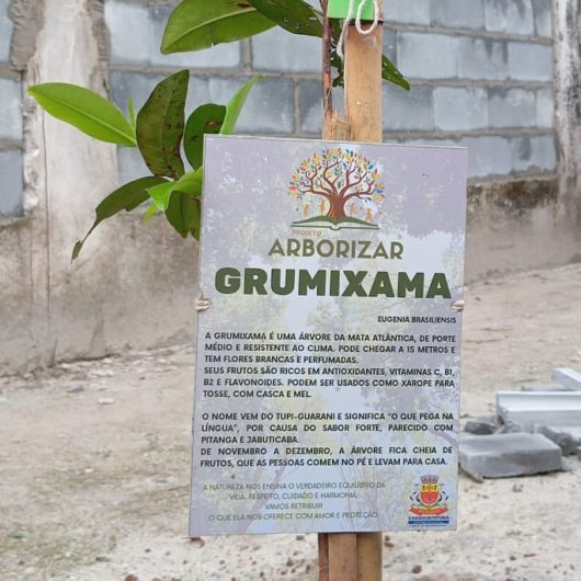 Plantio de árvores nativas reforça arborização urbana em Caraguatatuba