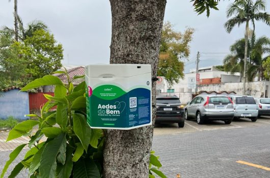 Caraguatatuba inicia projeto inovador “Aedes do Bem” para combate ao mosquito transmissor da dengue