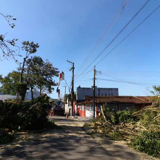 Defesa Civil faz alerta de ventos fortes sexta-feira e sábado