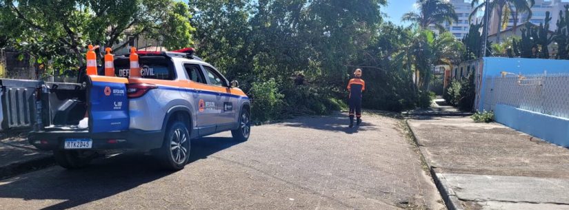 Moradores de Caraguatatuba afetados pelo vendaval de julho podem sacar FGTS por calamidade