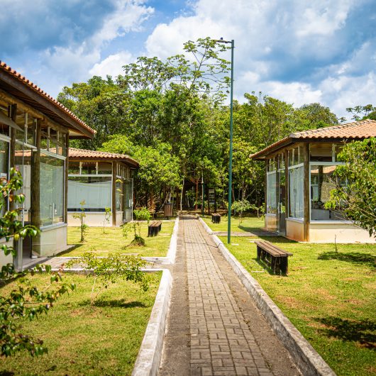 Parque Natural Municipal do Juqueriquerê funciona em horário especial no fim de ano