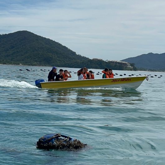 Atividade de campo leva alunos da Guarda Mirim de Caraguatatuba ao rancho-escola da Cocanha