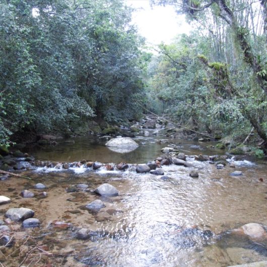 Comitê de Bacias Hidrográficas do Litoral Norte abre Edital para projetos ambientais