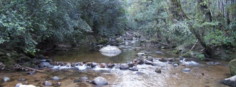 Comitê de Bacias Hidrográficas do Litoral Norte abre Edital para projetos ambientais