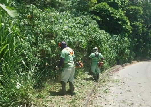 Prefeitura intensifica zeladoria urbana e atende bairros de todas regiões de Caraguatatuba