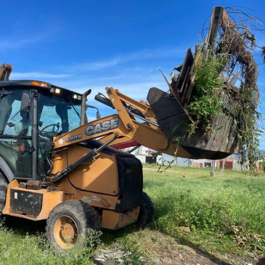 Prefeitura intensifica zeladoria e avança com manutenção urbana em 21 bairros