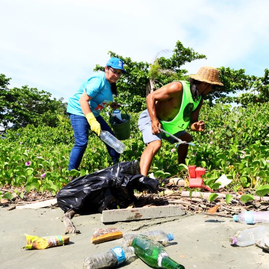 Mais de 40 quilos de resíduos são recolhidos em trecho da praia do Porto Novo durante evento “O Mar Não Está Pra Lixo”