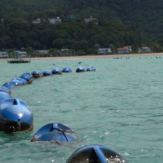 Prefeitura de Caraguatatuba reforça importância de respeitar sinalização e não invadir área da Fazenda de Mexilhões da Cocanha