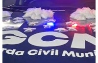 Guarda Civil de Caraguatatuba apreende mais de 1,3 mil porções de droga