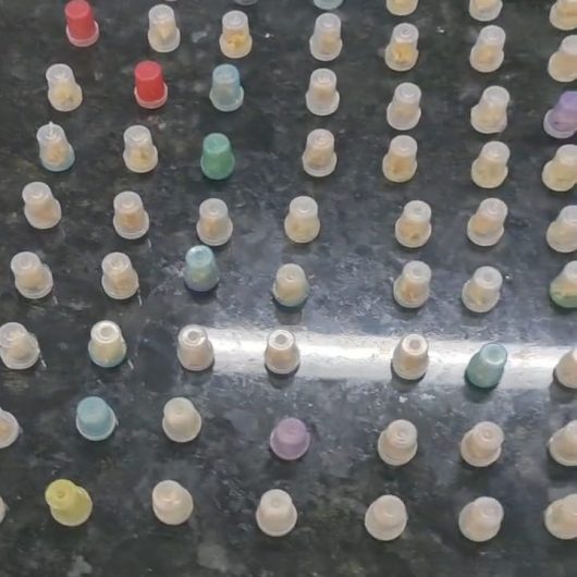 Guarda Civil Municipal prende homem com 90 porções de crack no Perequê-Mirim