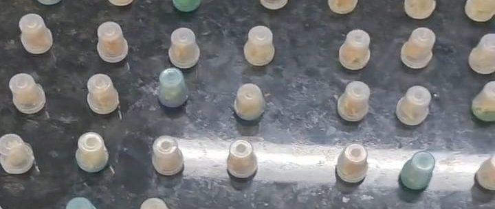 Guarda Civil Municipal prende homem com 90 porções de crack no Perequê-Mirim