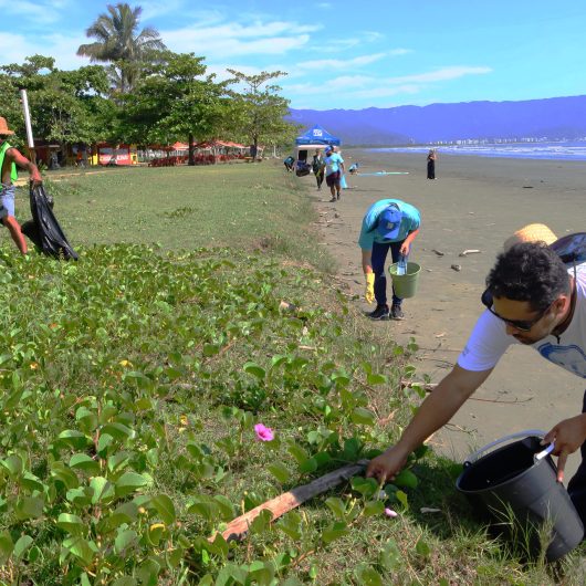 55067073346_4c3d324c21_k