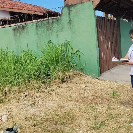 Prefeitura notifica donos de terrenos com mato alto no bairro Golfinhos e prevê multa por descumprimento