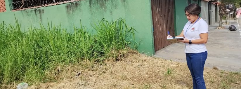 Prefeitura notifica donos de terrenos com mato alto no bairro Golfinhos e prevê multa por descumprimento