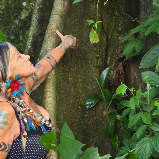 Mostra Coletiva “Memória Ancestral – Povos Originários”: Inscrições abertas para artesãos e artistas plásticos do Litoral Norte