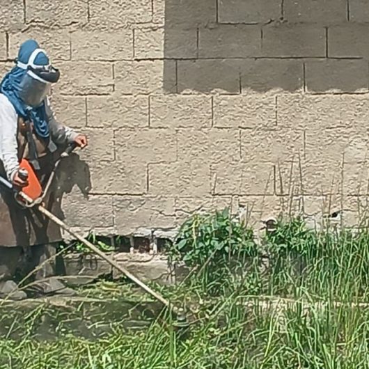 Roçada no Travessão (2)