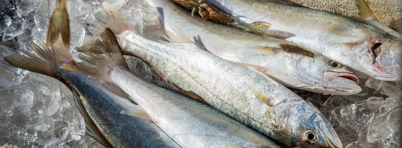 0108 Pescadores Camaroeiro - Hugo Labanca-06054