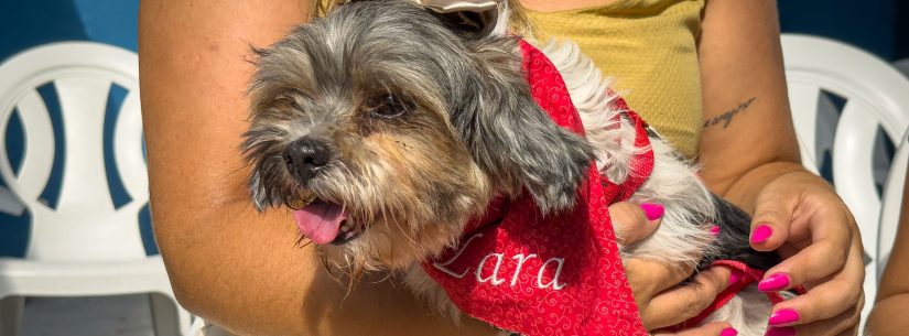 0407 Cachorro Resgatado - Hugo Labanca -5216