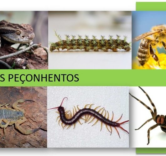 317634f2-4797-4473-92cf-dac0c9ae3a4b