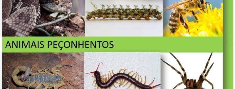 317634f2-4797-4473-92cf-dac0c9ae3a4b